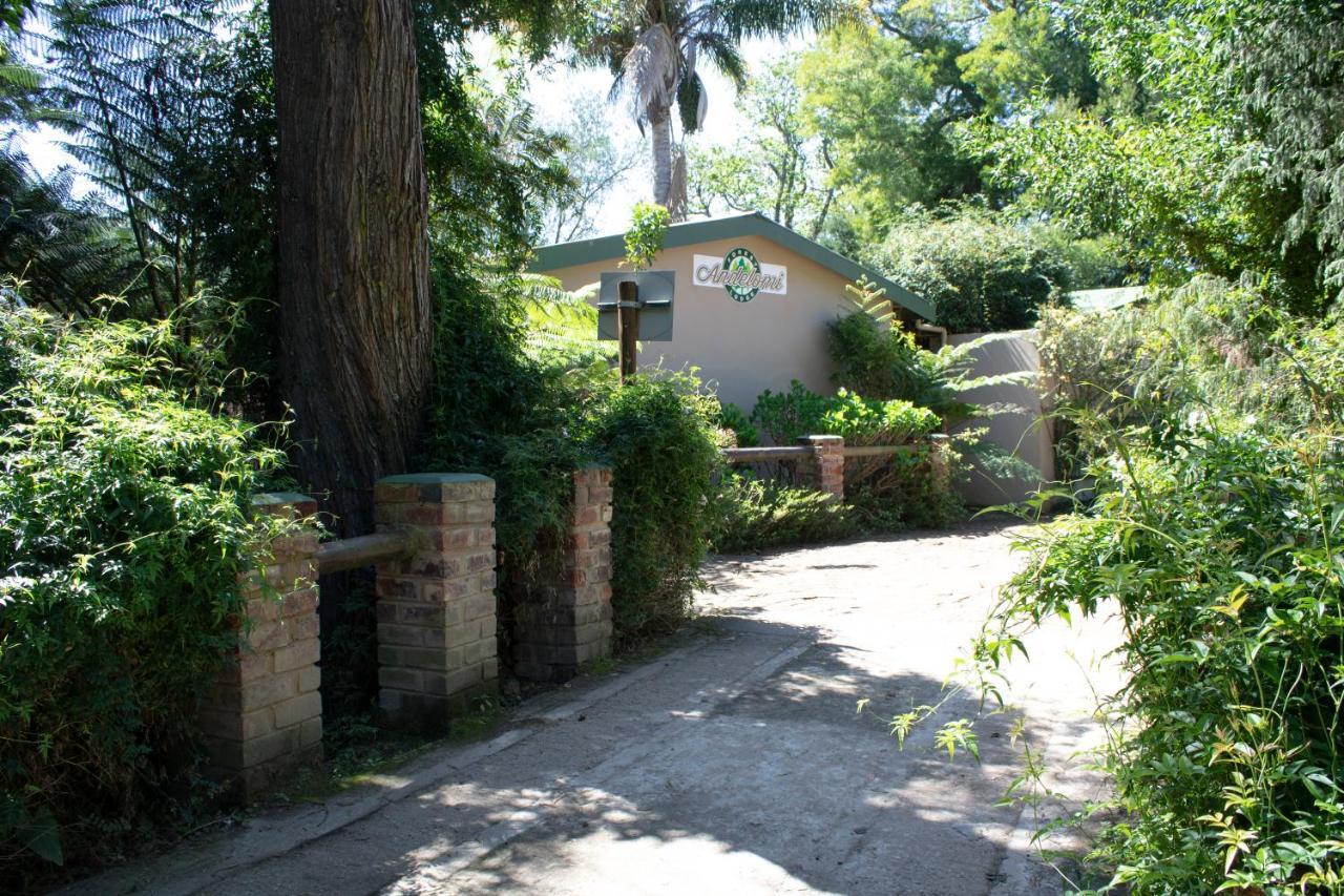 סטורמסריבייר Andelomi Nature'S Rest מראה חיצוני תמונה
