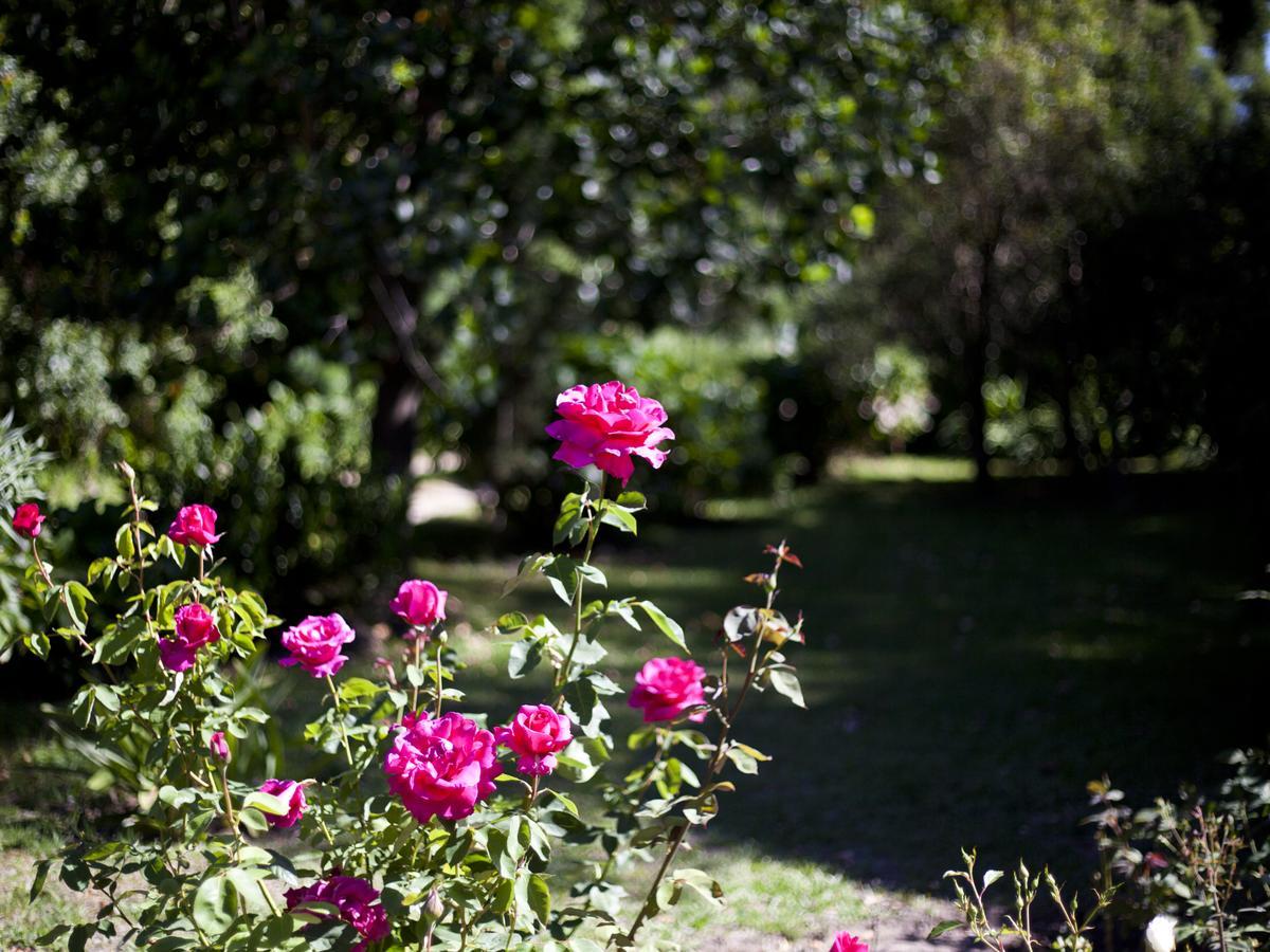 סטורמסריבייר Andelomi Nature'S Rest מראה חיצוני תמונה