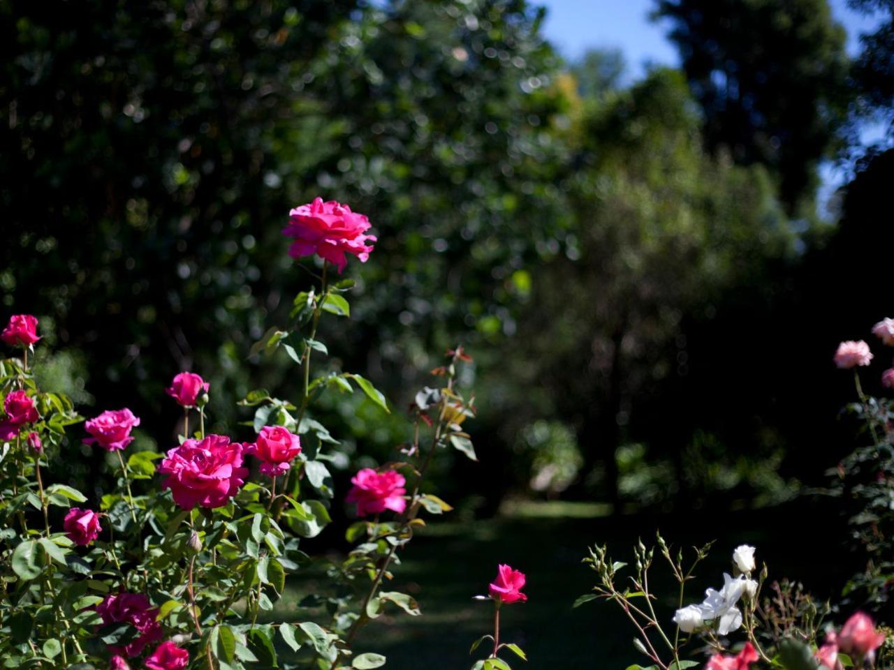 סטורמסריבייר Andelomi Nature'S Rest מראה חיצוני תמונה