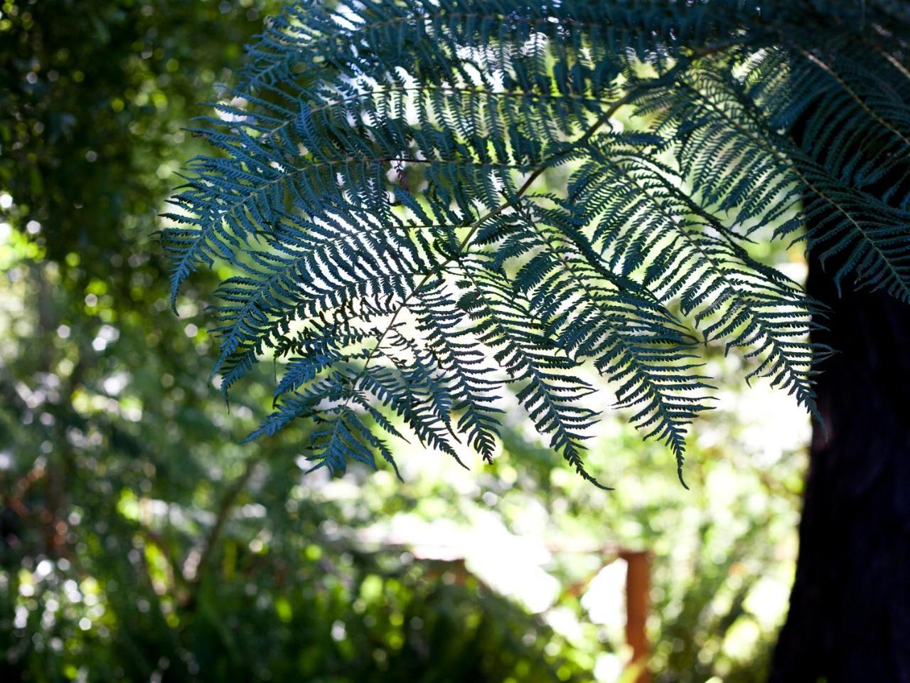 סטורמסריבייר Andelomi Nature'S Rest מראה חיצוני תמונה